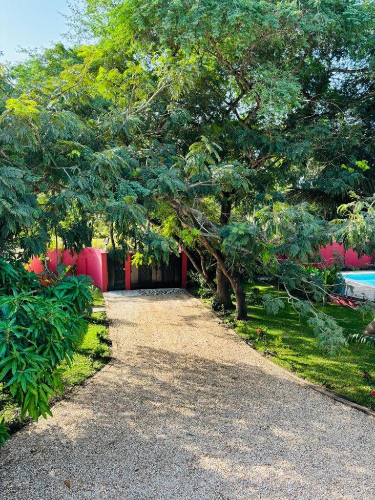 Heda House Bed and Breakfast Sanyang Exteriör bild